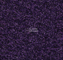 Грязезащитные покрытия Forbo Coral Brush 5709 royal purple фото 1 | FLOORDEALER